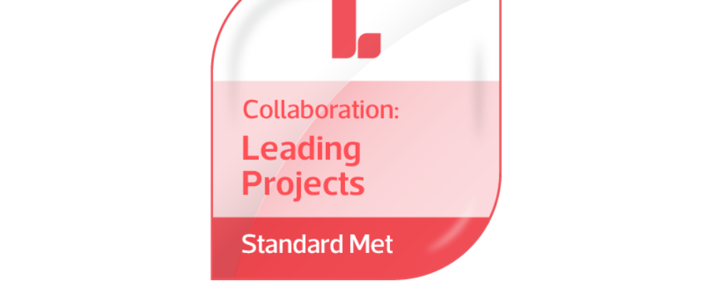 leading_projects v2 (002).png