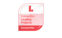 leading_projects v2 (002).png